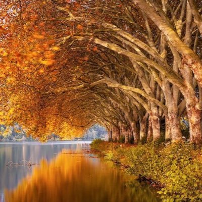 mo_abdullahd's profile picture. 