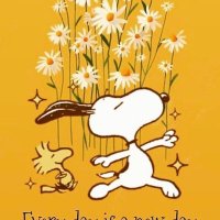 MagaWarriorMom (@sandrab11997020) 's Twitter Profile