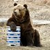 Will Price (@theironbear8) Twitter profile photo Will Price (@theironbear8) Twitter profile photo