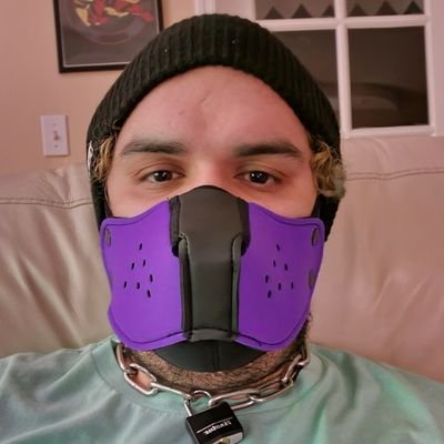 niteshadecleric's profile picture. Huge dnd nerd and pokémon but just an over all just a big pan nerd looking kink and friends