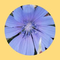 TrinaLovesInfo (@patrinac) 's Twitter Profile Photo