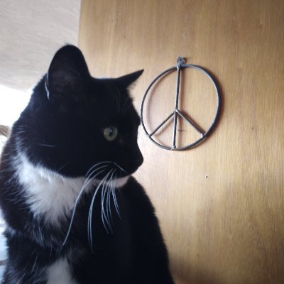 mariest07510564's profile picture. 