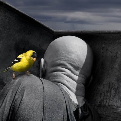 vieuxkusbaz's profile picture. Eskiden iyi adam,Yarış Sever Ama İzlemeyi, Kendi Kürdü... La vie en rose....
