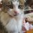 jonescreek47's profile image