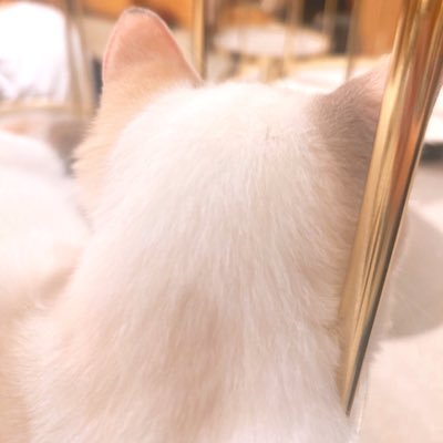 陽那さんのプロフィール画像