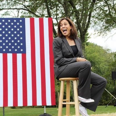 African American woman; Harris Walz Democrat; politics, law, languages, & human nature. @cecivrai on 🦋; cest_si_vrai on Insta; @CeciVrai on 🐳