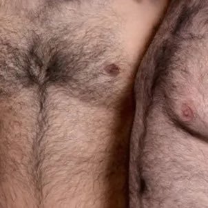 mepasoengrindr's profile picture. 🔞somos una comunidad de osos colombianos  y amantes del pelo 🐻‍❄️🐼🐻 únete a telegram