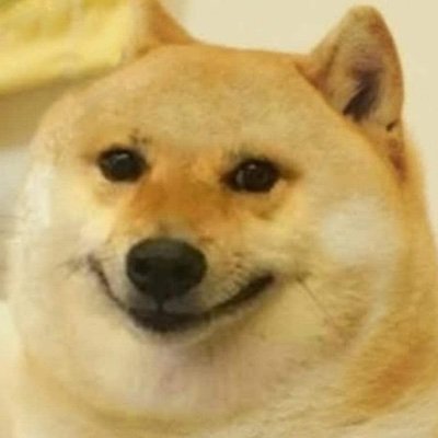 EstonianPotato's profile picture. Software Eng 🇵🇱 into politics, poetry, hacking, art, archi, history | DevOps, Cloud, Python, React | Name: Tommy, 30 y.o. #FELLA 🦋 app: https://t.co/1JHIpaaOx6 DM: 📩