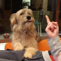 Daryl (@daryltier2) 's Twitter Profile
