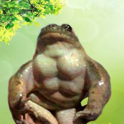 The most jacked $FROG Solana has ever witnessed. Pump or Get Rekt. https://t.co/3JU9qT7Om3 | https://t.co/dqNHXvTq6X