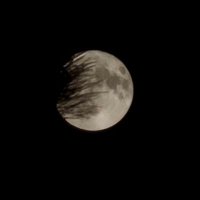 süleyman arı (@arisuleyman) Twitter profile photo