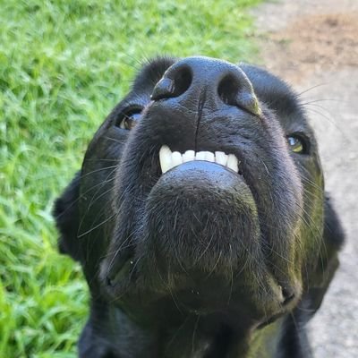 LIGHTQUIVER's profile picture. UIM / Motorcyclist / Avid Taco Consumer / Tummy Enthusiast /  💔🌌🧙‍♂️