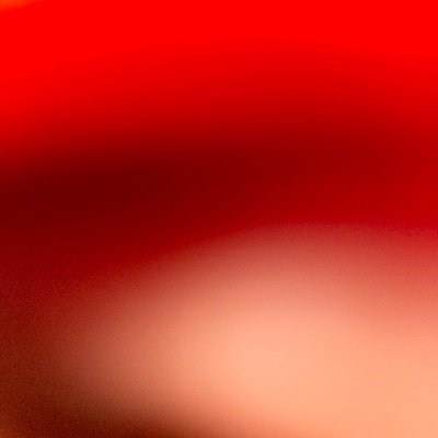 _Noutilus's profile picture. 