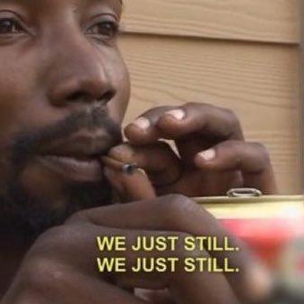 ogmaury's profile picture. 504