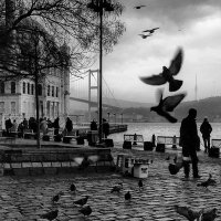 Hüseyin Baykara (@huseyinbaykara0) 's Twitter Profile