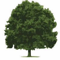 Plashet School (@plashetschool) 's Twitter Profile