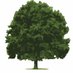 Plashet School (@plashetschool) Twitter profile photo Plashet School (@plashetschool) Twitter profile photo