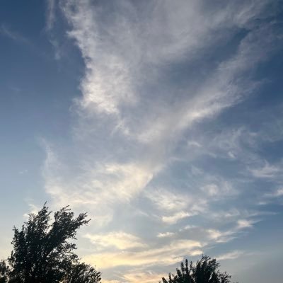 MorrisMark41498's profile picture. 2 tours. Bachelor of Science through the Debt of the Navy.