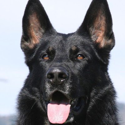 KL890495754496's profile picture. Trump, Bitcoin, & We the people!
Buy low, sell high.