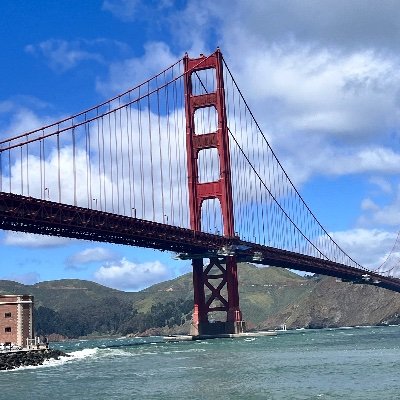 Mustafa Özçam Profile