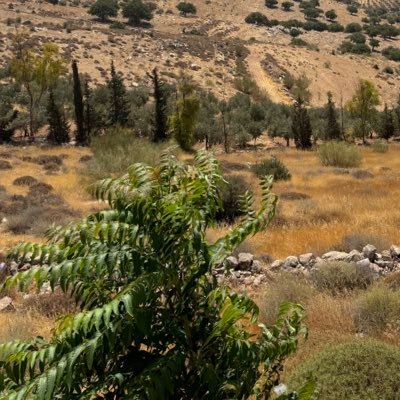 Blueee14420421's profile picture. 