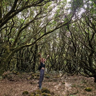 Archaeologist, studying ancient woodlands 🌲🌳 through archaeobotany. PhD at IPHES (Tarragona) and Universitat de Barcelona