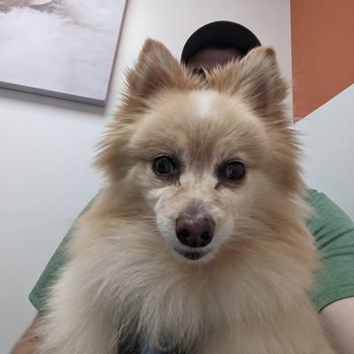 JeffLongBP's profile picture. MLB Team Consultant. Digital/Marketing expert in QSR & CPG.