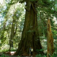 BethDuncan, M.Ed (@bethduncan) 's Twitter Profile