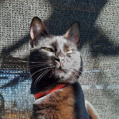 btsxserendipity's profile picture. - 12.03.17 -