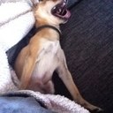 anna wallin - @TheDramaQueen69 - Twitter