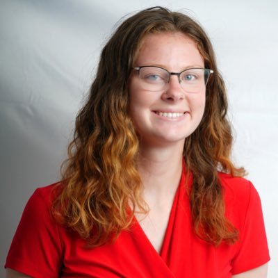Tennessee Connect Team Reporter at Knoxville News Sentinel