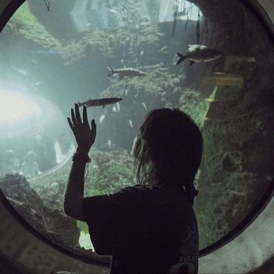 shitt_k's profile picture. ??