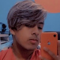 Que (he/they) ๐ชถ (@slice_of_que) 's Twitter Profile