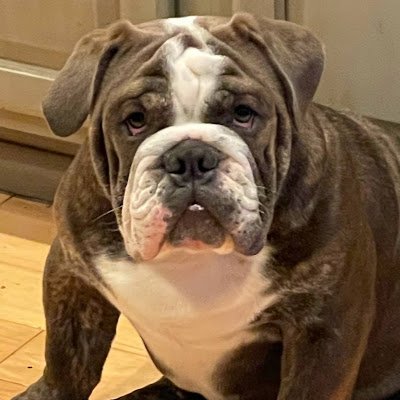 AllisonHau30789's profile picture. 