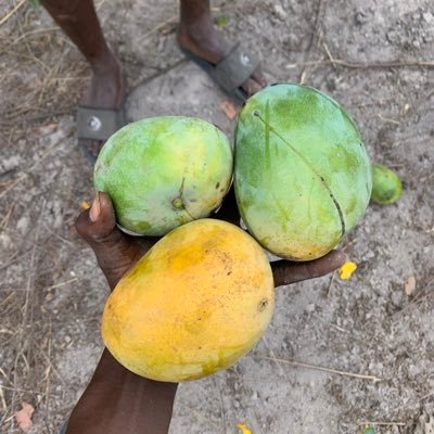 bah77766's profile picture. 