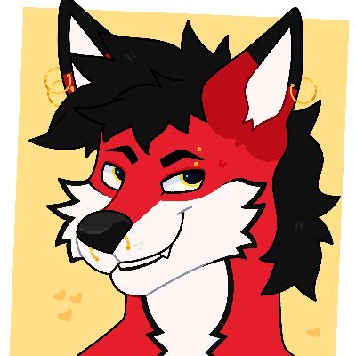 Pucko Fox 🦊さんのプロフィール画像