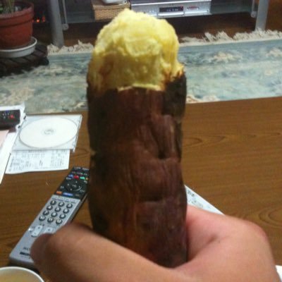 先端励起摩擦大学大学院/手学専攻/腹上自慰隊/イクミマンコガイ/永遠の思春期/射爆了事件/トランスエイジ/痛風之王
