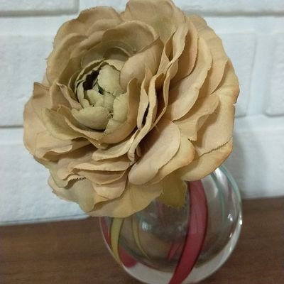 yasuyo_mozunie's profile picture. SixTONESジェシー大好き❤💎❤💎
親〜んず世代、関西の南方に生息。
無言フォロー失礼いたします🙇