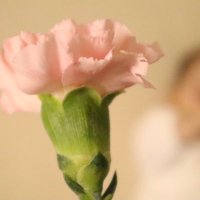you (@you_you_you_u_u) 's Twitter Profile Photo you (@you_you_you_u_u) 's Twitter Profile Photo