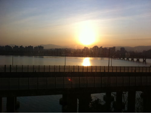 shiho66khj74ja's profile picture. 