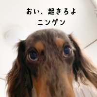 SHIRO🤘ちゃんU・ェ・U (@10shirochan10) 's Twitter Profile