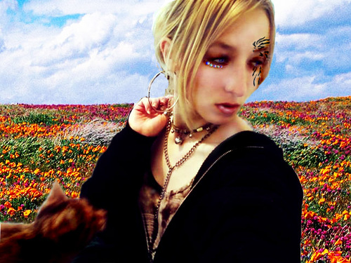 KatSkratchFever's profile picture. 