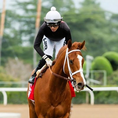Jockey Profesional Chileno 🇨🇱 , con más de 2000 triunfos en mi carrera Nacional e Internacional.