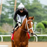 Hector Isaac Berrios (@hiberrios) 's Twitter Profile