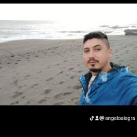 Angelo Alegría (@angeloalegra1) 's Twitter Profile