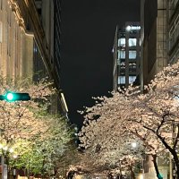 リシャル (@richarlfw) 's Twitter Profile