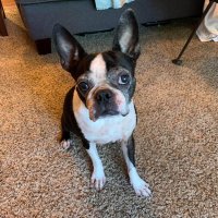 ChrisPJAZ (@chrispjaz) 's Twitter Profile