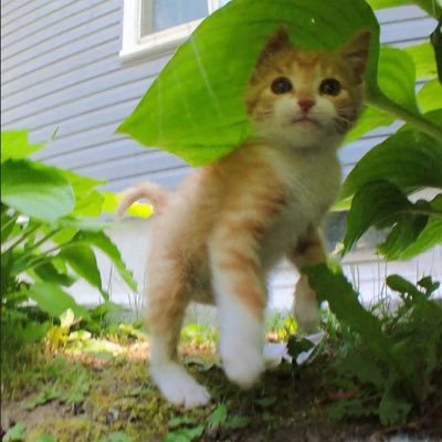 Tharun3008's profile picture. -