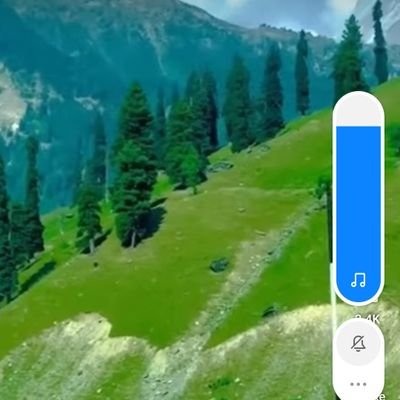 BradPitt445's profile picture. 