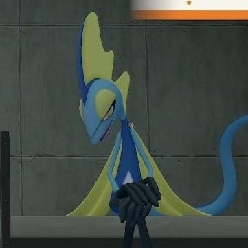saikuさんのプロフィール画像